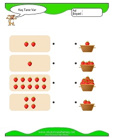 Kaç Tane Var Çalışma Sayfaları